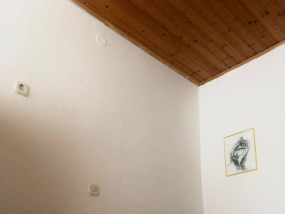 Apartment One bedroom apartment near beach Žuljana, Pelješac A-20094-a - Outdoor photo 8