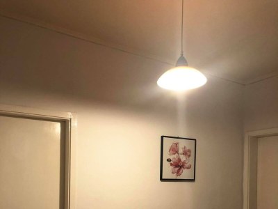 Apartment One bedroom apartment near beach Žuljana, Pelješac A-20094-a - Outdoor photo 14