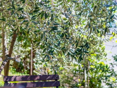 Apartment One bedroom apartment with terrace and sea view Jadranovo, Crikvenica A-20801-a - Outdoor photo 6