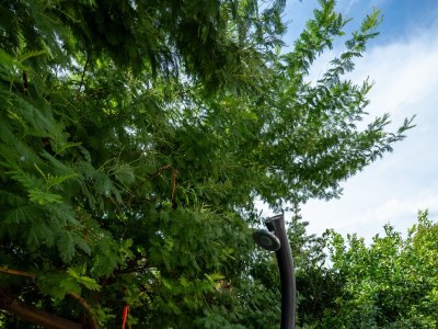 Apartment Apartments for families with children Lopar, Rab - 20830 - Apartments for families with children Lopar, Rab - 20830 - Outdoor photo 18