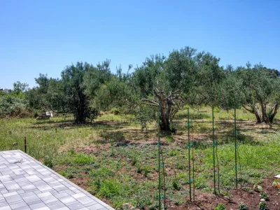 Apartment One bedroom apartment with terrace and sea view Betina, Murter A-20450-a - Outdoor photo 14