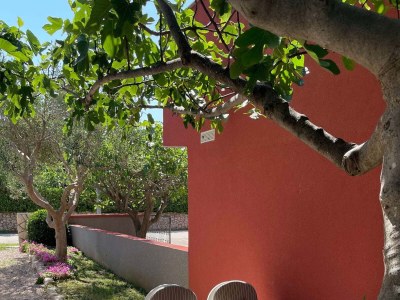 Apartment Studio flat with air-conditioning Povljana, Pag AS-21144-b - Outdoor photo 7