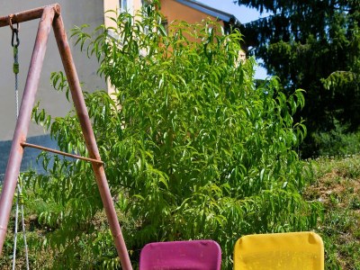 Apartment One bedroom apartment with balcony Rakovica, Plitvice A-20647-a - Outdoor photo 7