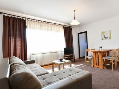 Apartment One bedroom apartment with balcony Rakovica, Plitvice A-20647-a - Outdoor photo 8