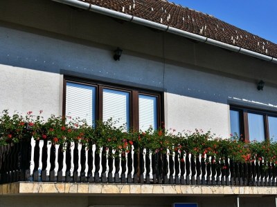 Apartment One bedroom apartment with balcony Rakovica, Plitvice A-20647-a - Outdoor photo 25