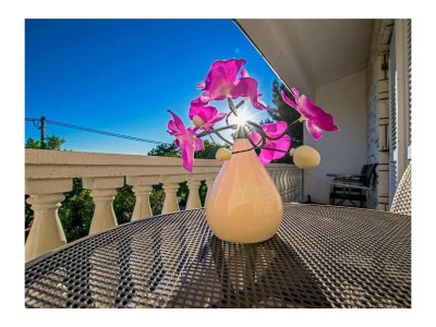 Apartment Two bedroom apartment with balcony and sea view Seline, Paklenica A-21208-b - Outdoor photo 32