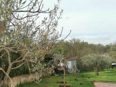 Apartment Two bedroom apartment with balcony Kaštel, Central Istria - Središnja Istra A-21309-a - Outdoor photo 7