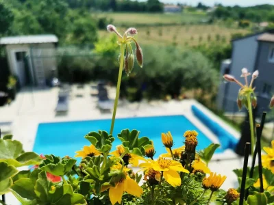 Apartment One bedroom apartment with terrace Kaštel, Central Istria - Središnja Istra A-21309-b - Outdoor photo 5