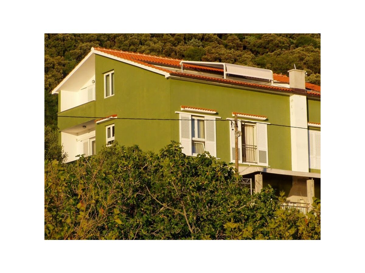 Apartment One bedroom apartment with air-conditioning Supetarska Draga - Gornja, Rab A-21380-c