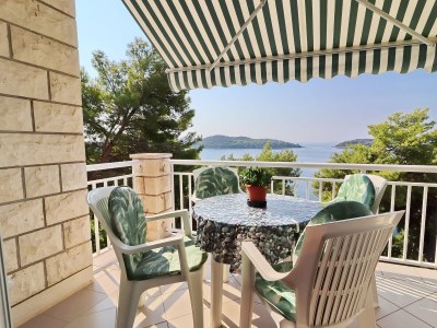 Apartment One bedroom apartment near beach Prižba, Korčula A-20862-b - Outdoor photo 10