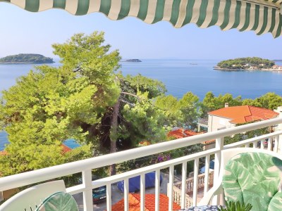 Apartment One bedroom apartment near beach Prižba, Korčula A-20862-b - Outdoor photo 11