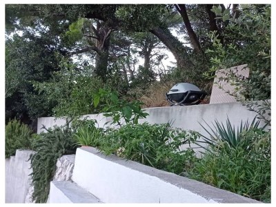 Apartment Two bedroom apartment near beach Živogošće - Mala Duba, Makarska A-21781-a - Outdoor photo 6