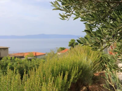 Apartment One bedroom apartment with terrace and sea view Podgora, Makarska A-21817-a - Outdoor photo 15