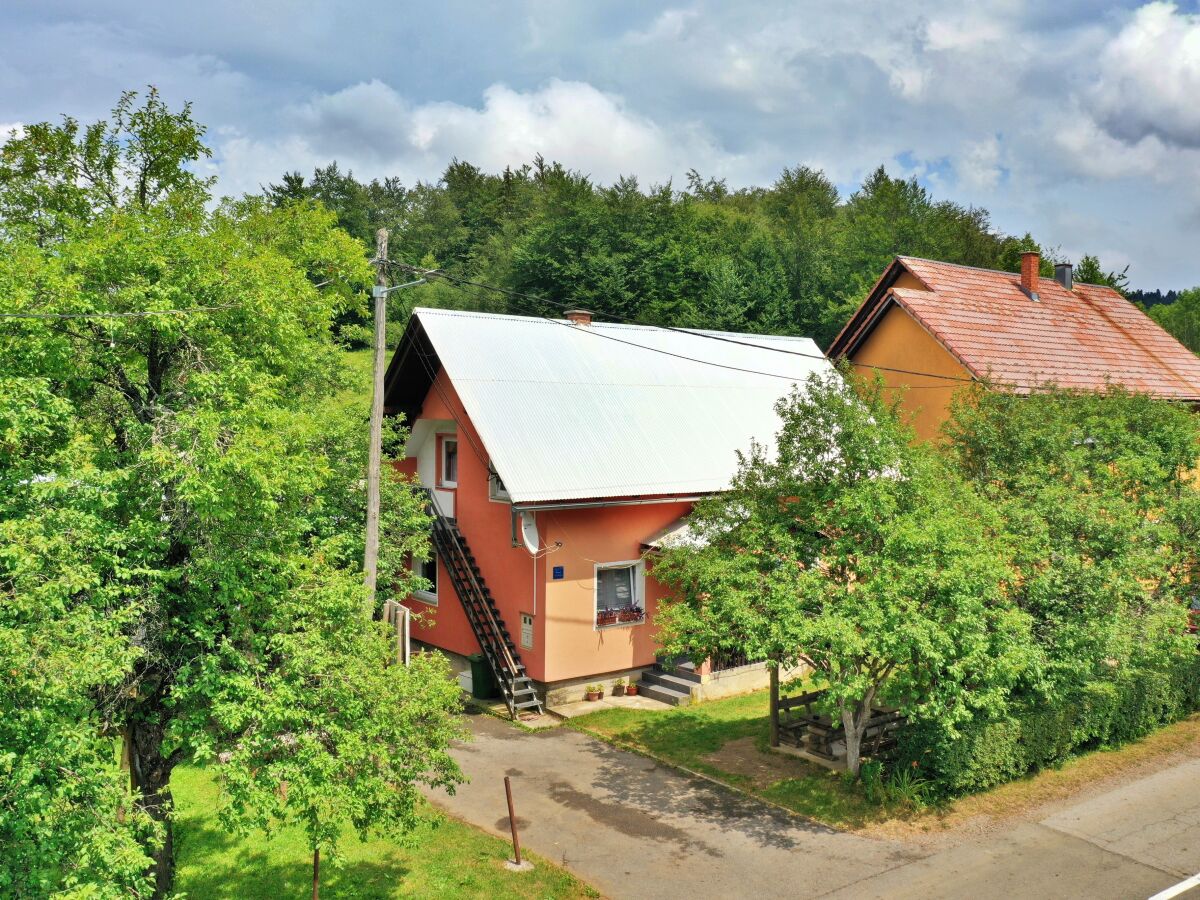 Apartment One bedroom apartment with balcony Saborsko, Plitvice A-20975-b - Outdoor photo 2