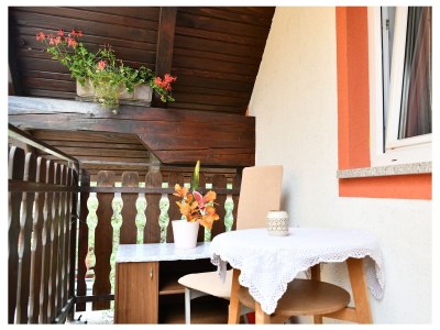 Apartment One bedroom apartment with balcony Saborsko, Plitvice A-20975-b - Outdoor photo 15