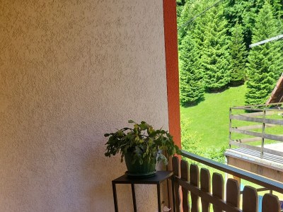 Apartment One bedroom apartment with balcony Saborsko, Plitvice A-20975-b - Outdoor photo 16
