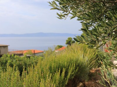 Apartment One bedroom apartment with terrace and sea view Podgora, Makarska A-21817-b - Outdoor photo 14