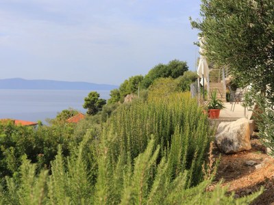 Apartment Studio flat with terrace and sea view Podgora, Makarska AS-21817-b - Outdoor photo 12