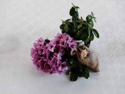 Apartment One bedroom apartment with terrace and sea view Komarna, Neretva Delta - Ušće Neretve A-21938-a - Outdoor photo 14