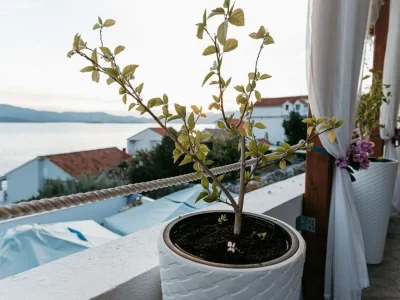 Apartment One bedroom apartment with terrace and sea view Komarna, Neretva Delta - Ušće Neretve A-21938-f - Outdoor photo 16