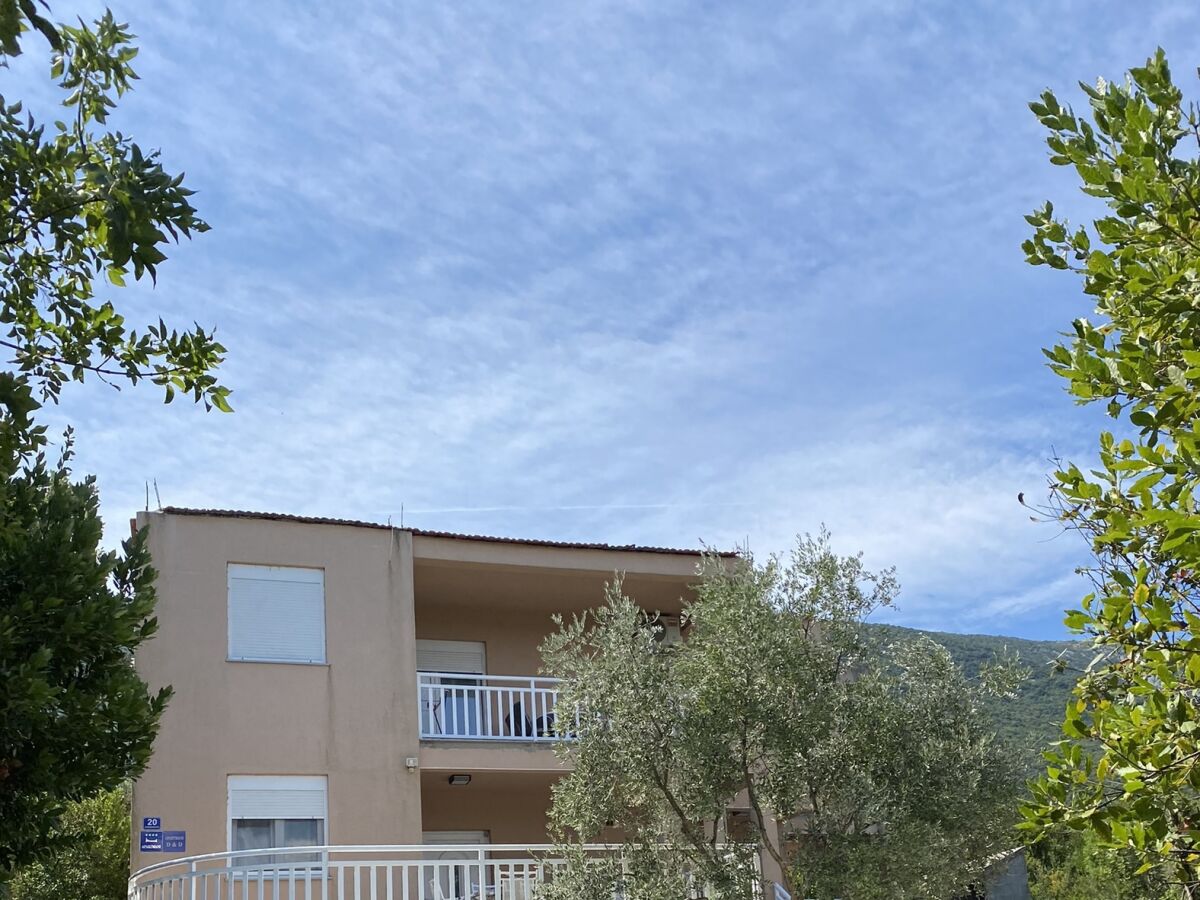 Apartment One bedroom apartment with balcony and sea view Cove Osobjava, Pelješac A-21944-b