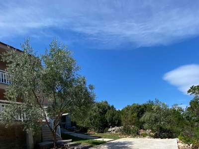 Apartment One bedroom apartment with balcony and sea view Cove Osobjava, Pelješac A-21944-b - Outdoor photo 4