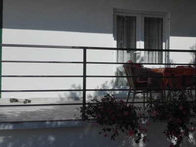 Apartment Two bedroom apartment with terrace Brodarica, Šibenik A-21888-a - Outdoor photo 20