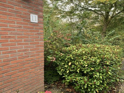 Holiday house Comfortable family bungalow near beach - Outdoor photo 7