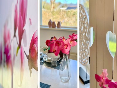 Holiday house Renovated bungalow with garden - Outdoor photo 30