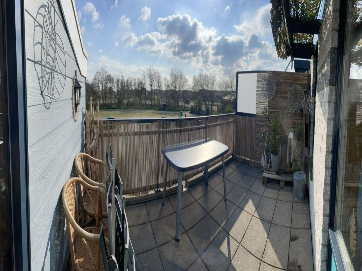 Holiday house Spacious apartment in Maartenszee dune - Outdoor photo 2