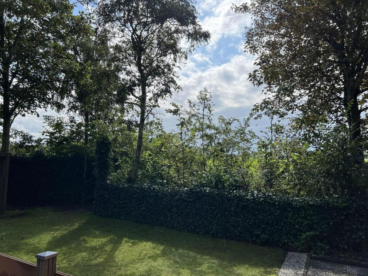 Holiday house Modern chalet in Campanula Park with garden - Outdoor photo 4