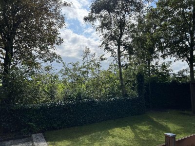 Holiday house Modern chalet in Campanula Park with garden - Environment photo 32