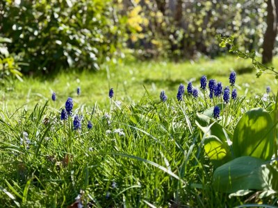 Holiday house Chalet nahe Strand Sint Maartenszee - Environment photo 20