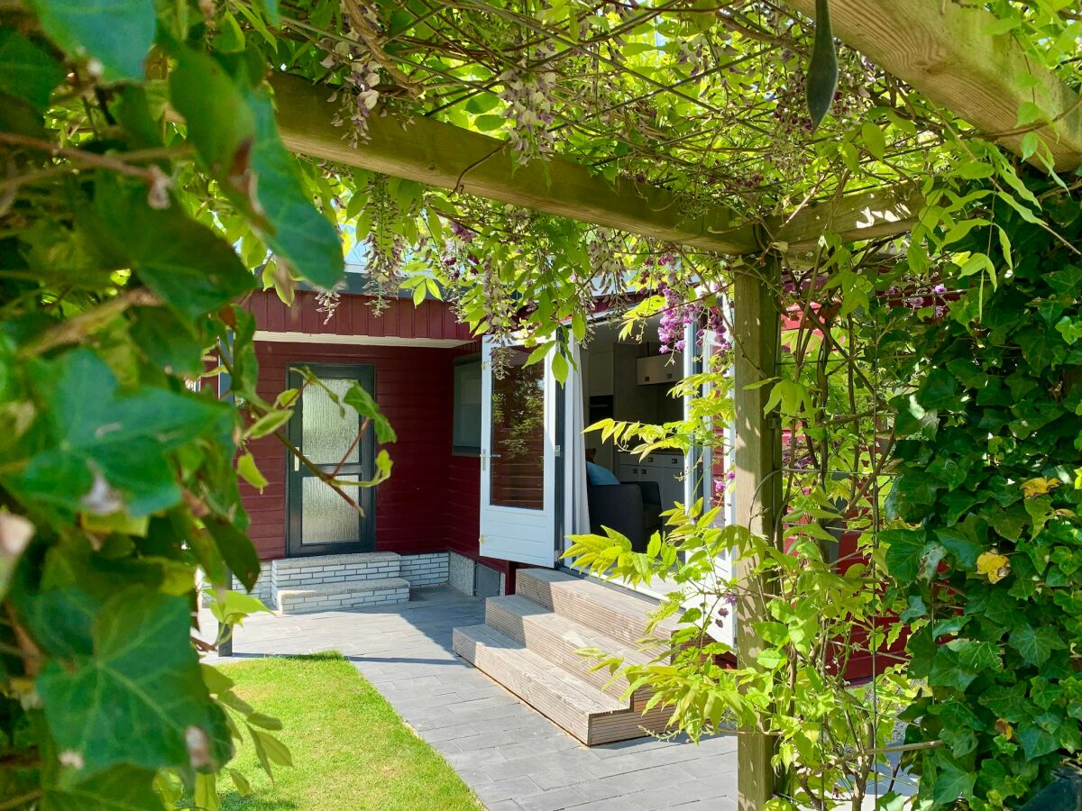 Holiday house Chalet in Sint Maartenszee in der Nähe des Strandes - Outdoor photo 3