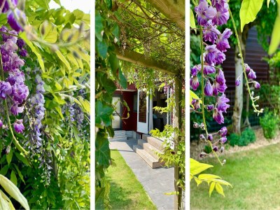 Holiday house Chalet in Sint Maartenszee in der Nähe des Strandes - Outdoor photo 5