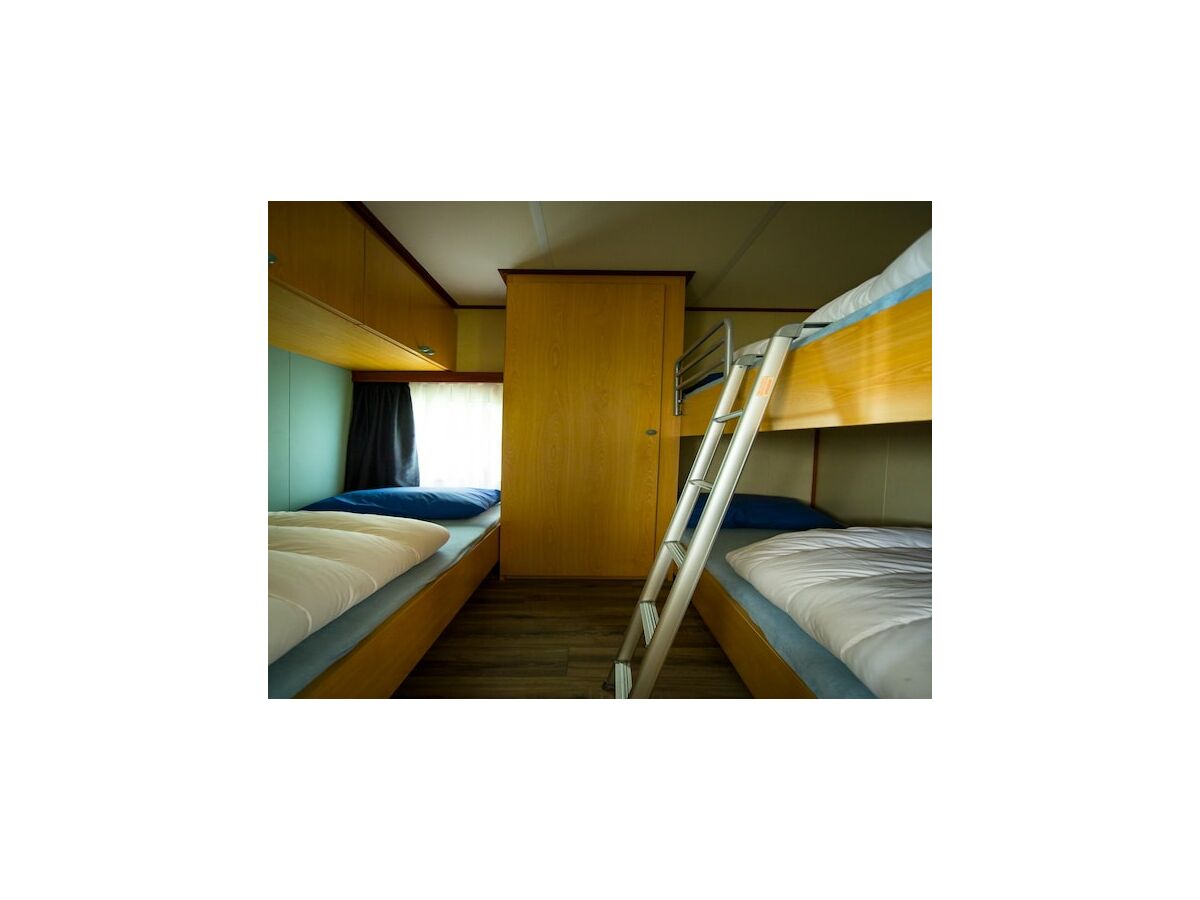 Holiday park Chalet in Duinhoeve im Van-Gogh-Stil - Features photo 3