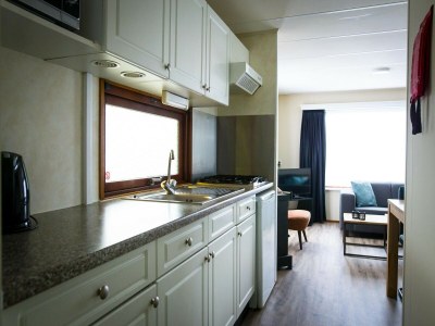 Holiday park Chalet in Duinhoeve im Van-Gogh-Stil - Features photo 5