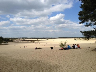 Holiday park Chalet in Duinhoeve im Van-Gogh-Stil - Environment photo 14