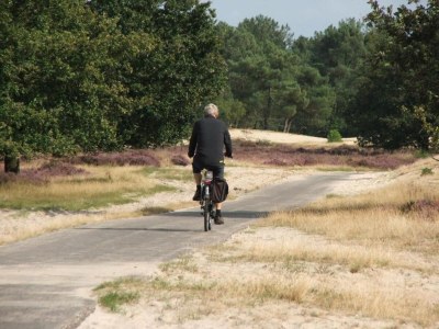 Holiday park Chalet nahe Loonse und Drunense Duinen - Environment photo 17