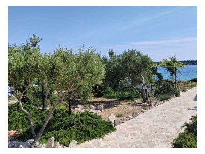 Apartment Two bedroom apartment near beach Barbat, Rab A-22561-b - Outdoor photo 5