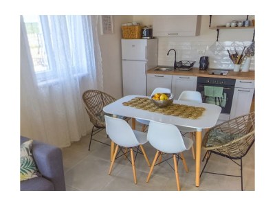 Apartment Two bedroom apartment with terrace and sea view Ražanac, Zadar A-22306-b - Outdoor photo 13