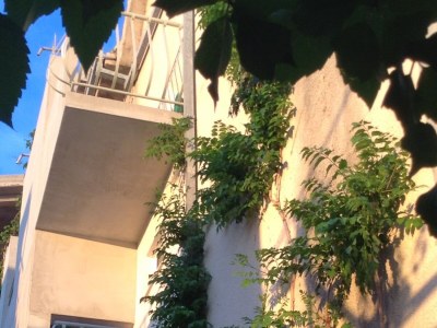 Apartment Two bedroom apartment with terrace and sea view Drašnice, Makarska A-22573-d - Outdoor photo 4