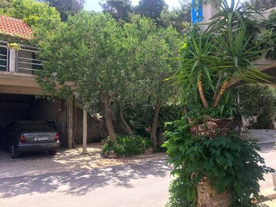 Apartment Two bedroom apartment with terrace and sea view Drašnice, Makarska A-22573-d - Outdoor photo 13