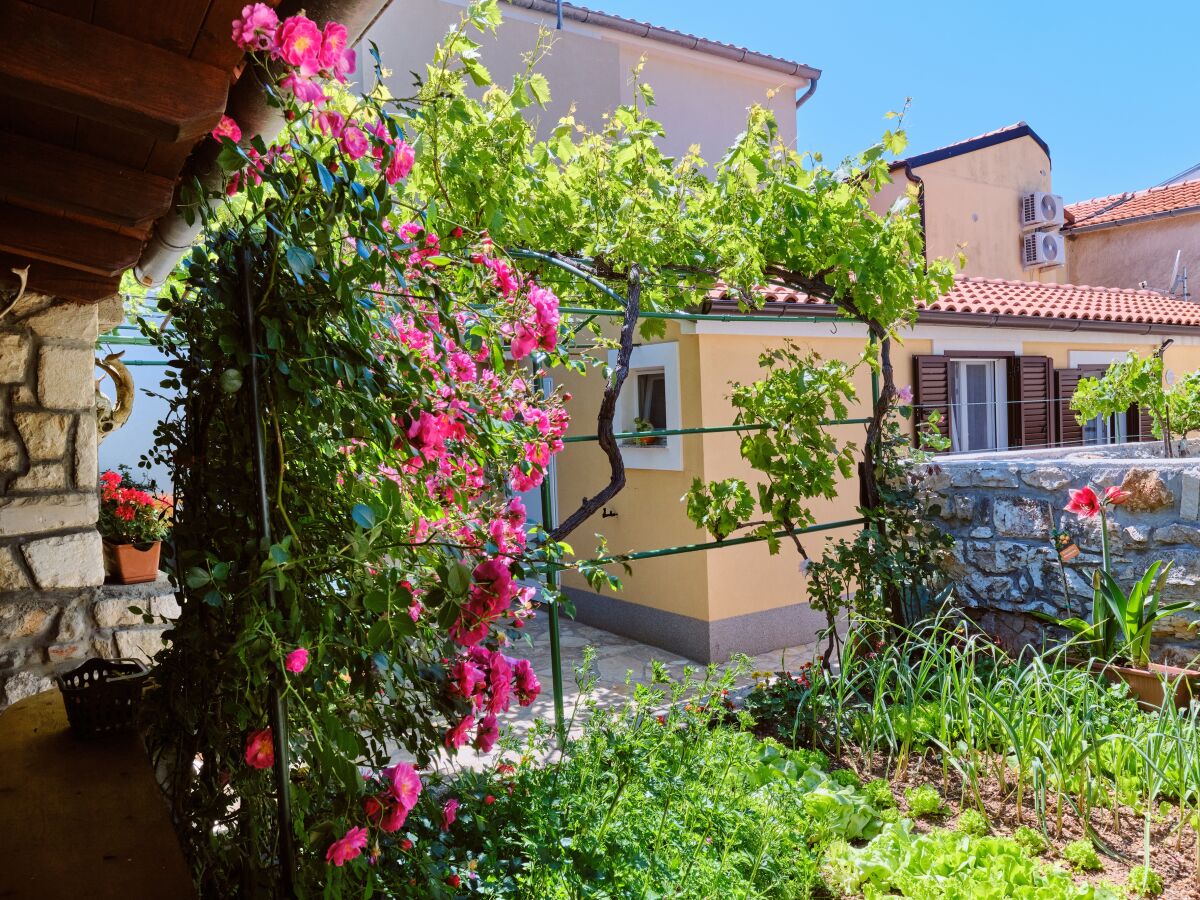 Apartment One bedroom apartment near beach Martinšćica, Cres A-22582-a - Outdoor photo 4