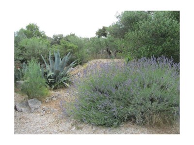 Apartment One bedroom apartment with terrace Ražanj, Rogoznica A-22376-c - Outdoor photo 8