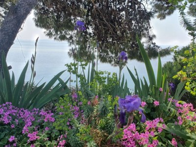 Apartment Studio flat near beach Murter AS-22397-b in Murter - Apartment