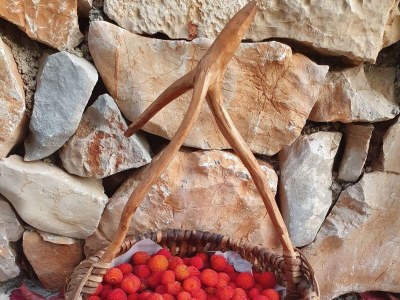 Apartment Studio flat near beach Murter AS-22397-c - Outdoor photo 12