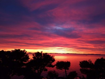 Apartment Studio flat near beach Murter AS-22397-c - Outdoor photo 22