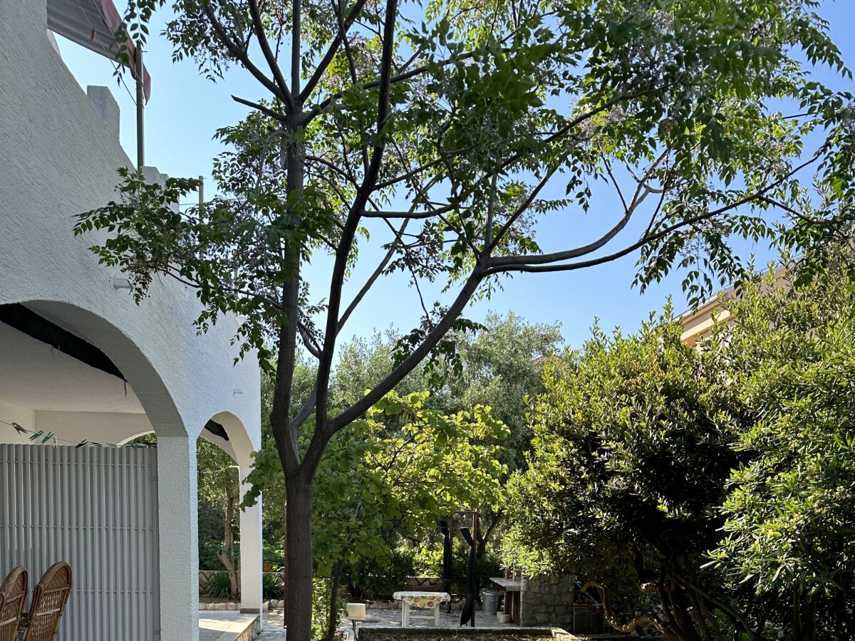 Apartment One bedroom apartment with terrace Novalja, Pag A-22963-c - Outdoor photo 4