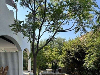 Apartment One bedroom apartment with terrace Novalja, Pag A-22963-c - Outdoor photo 4